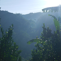 Photo de Bali - Autour de Munduk